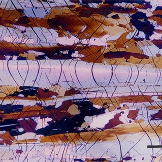 Metallography & Etching of Magnesium Alloys
